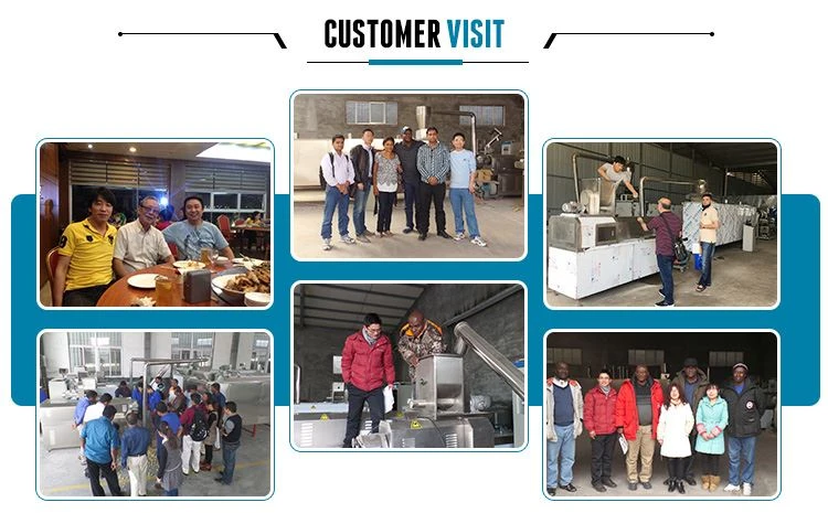 Fish Food Extruder Machine